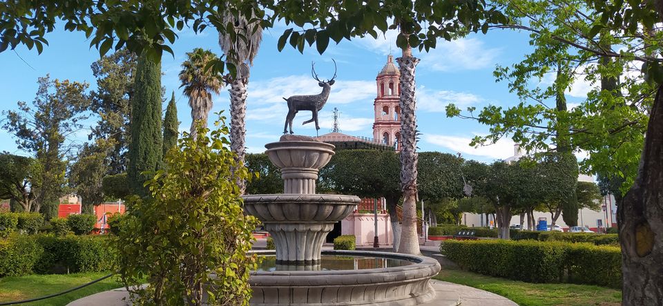 Venado, S.L.P. 2021-2024
