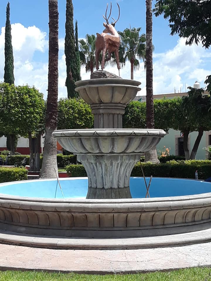 Venado, S.L.P. 2021-2024
